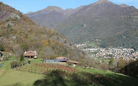 Casa Vacanze Agriturismo Il Mirtillo B,b